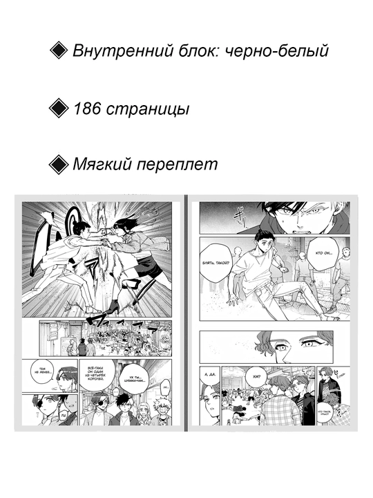 Манга Ветролом, 10 том
