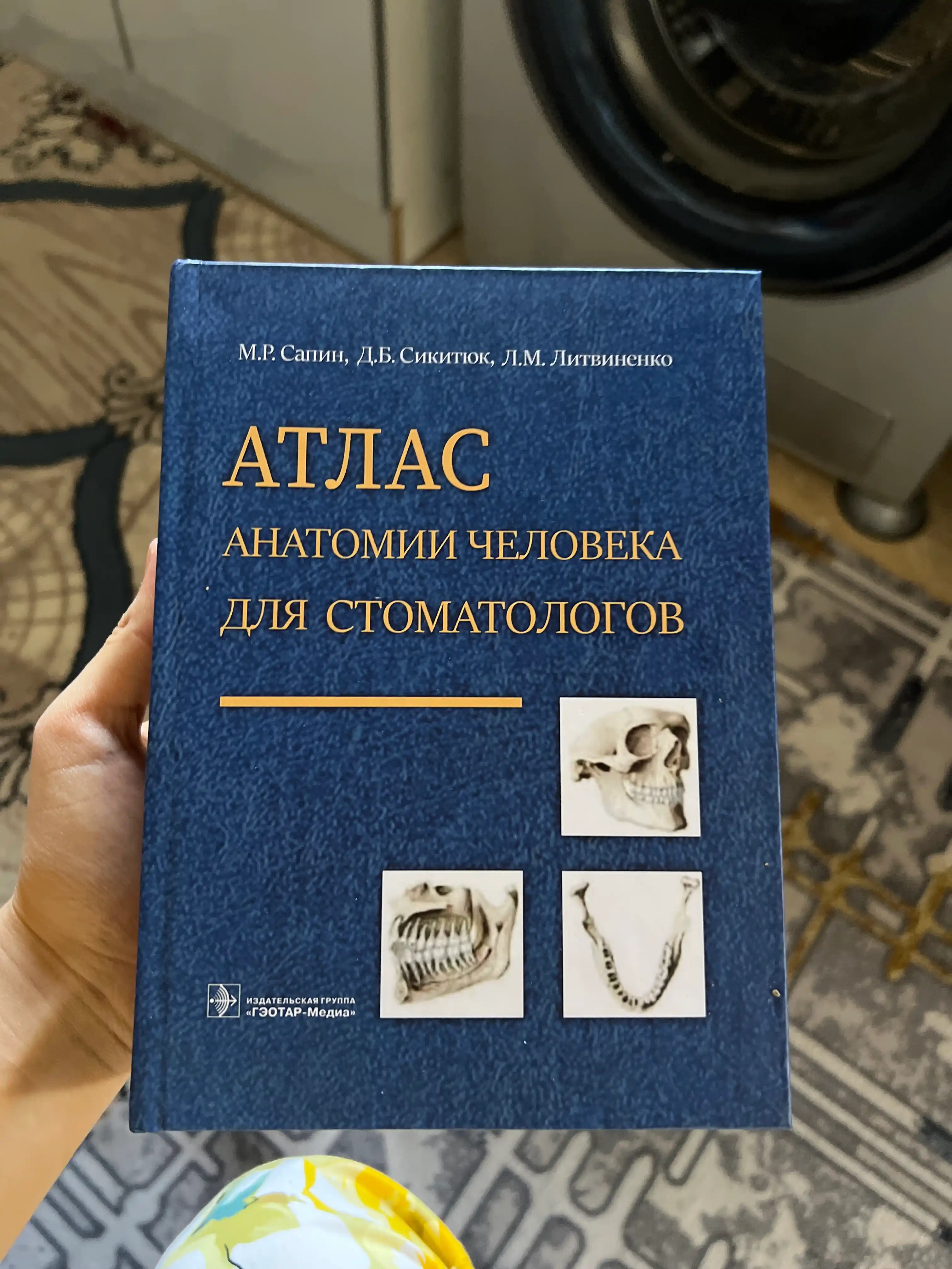 Атлас анатомии человека для стоматологов