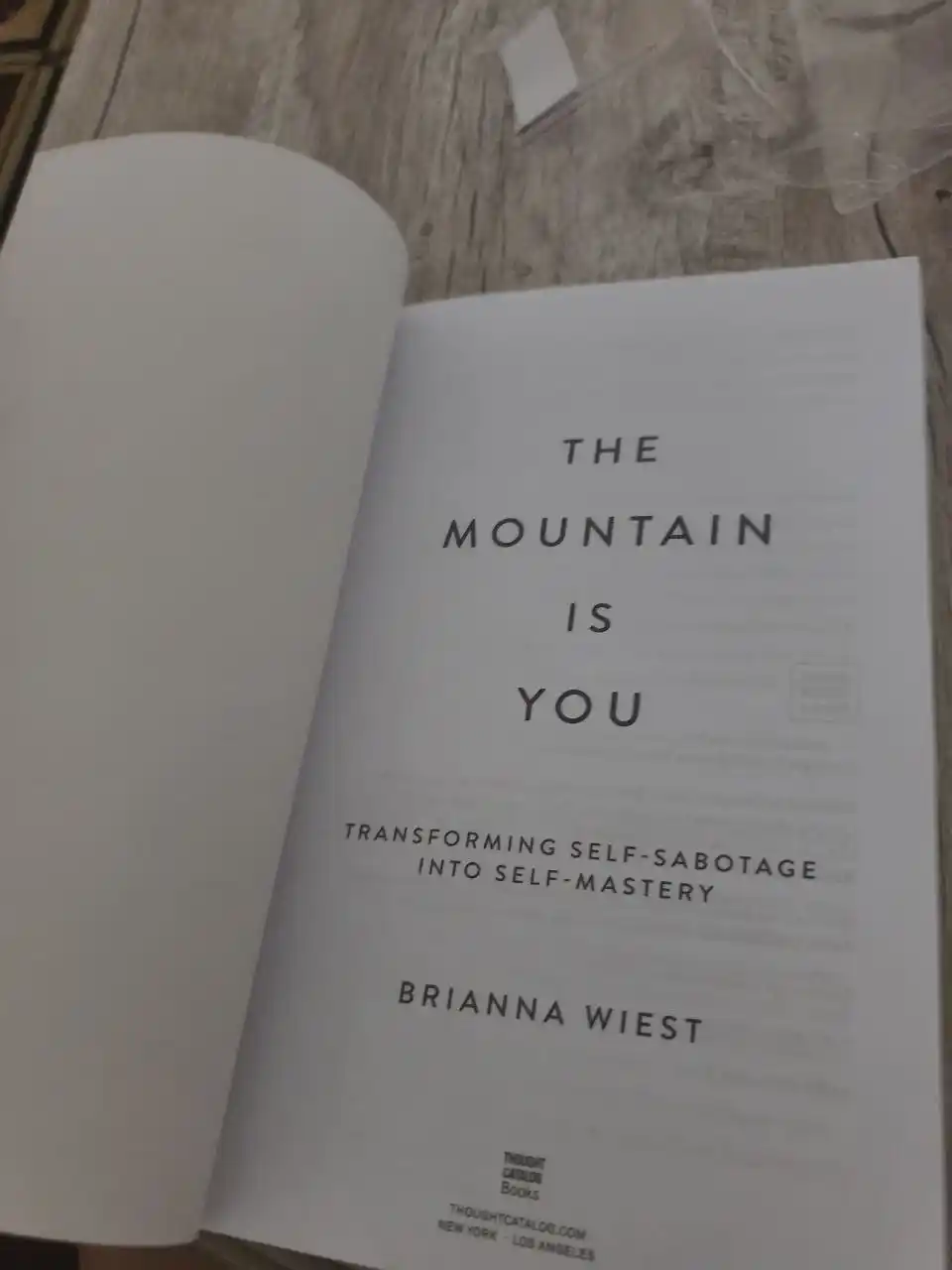 The Mountain is you - Brianna Wiest