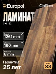 Лесной зеленый
