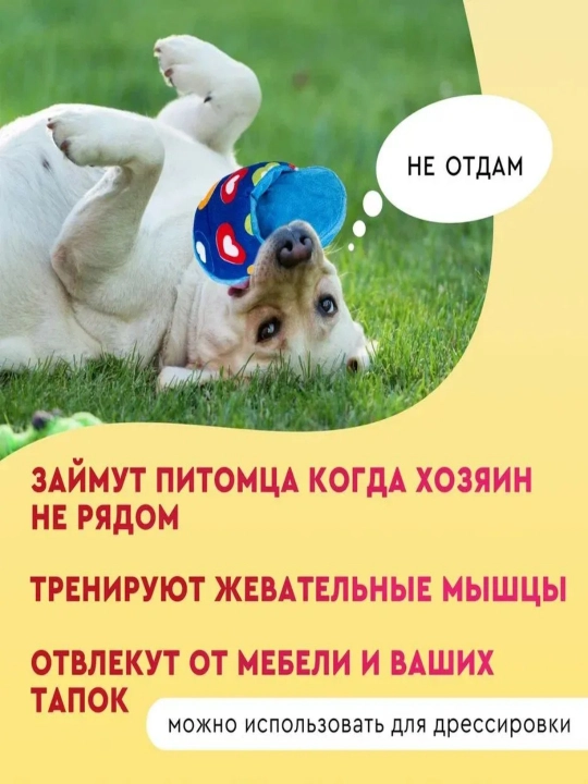Собачьи игрушки тапочки, 2 шт