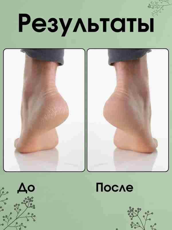 Yetuk kotib sikiklari uning boshligi