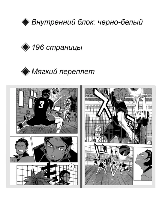 Manga Voleybol, 12 tom