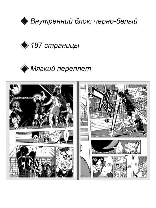 Manga Voleybol, 17 tom