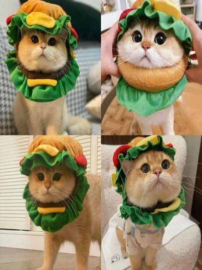 Кошачий бургер, шапка, собачий головной убор
