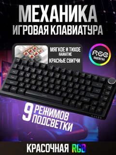 Qora