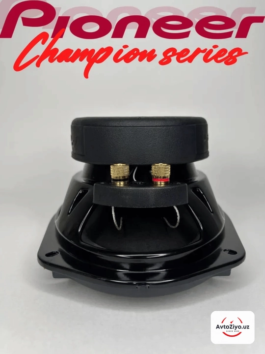 Pioneer V3 champion kolonkasi TS-6975, 550 Vt, usilitel shart emas