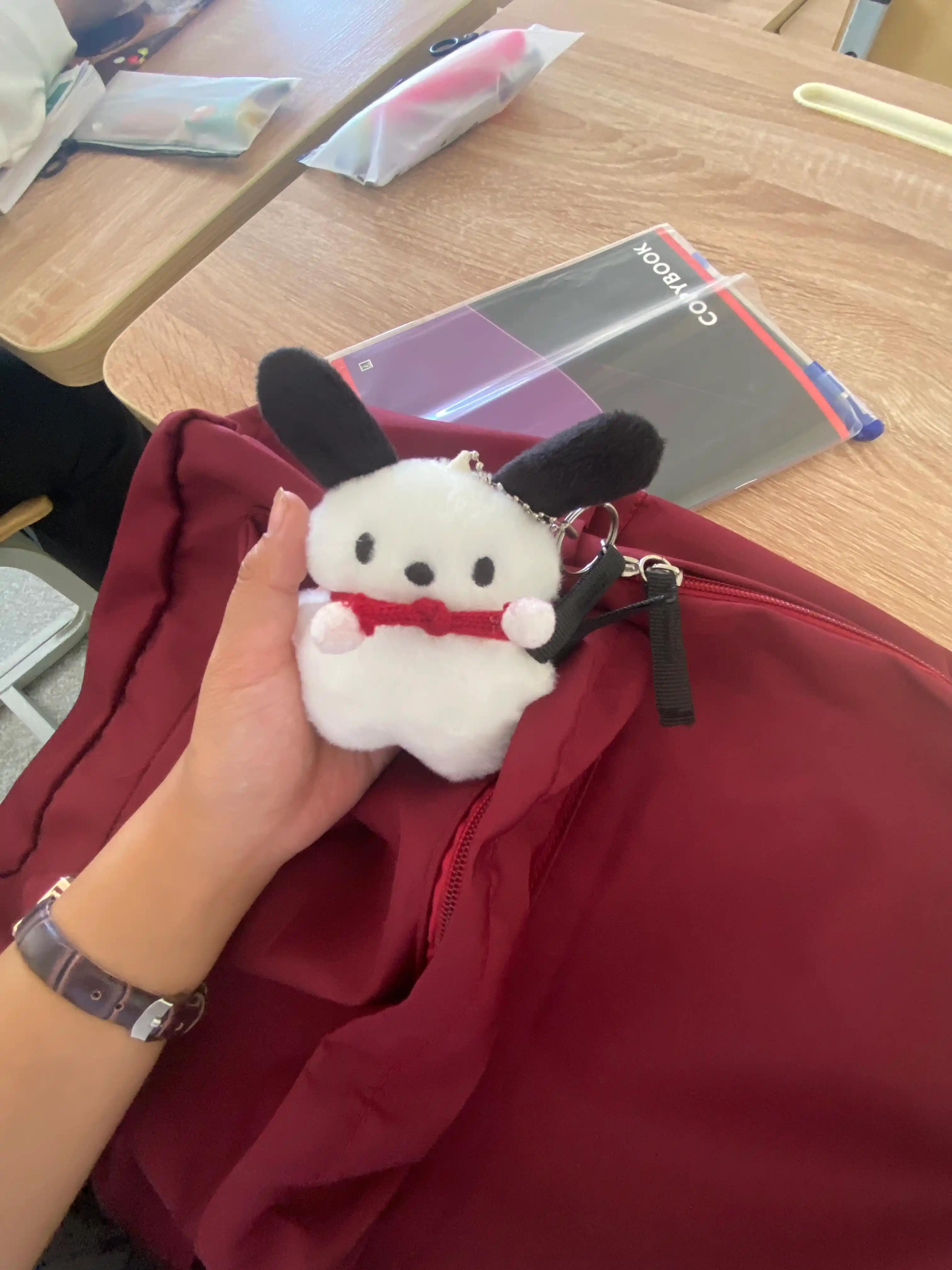 Erkaklar va ayollar uchun ryukzaklar, unisex, brelokli universal