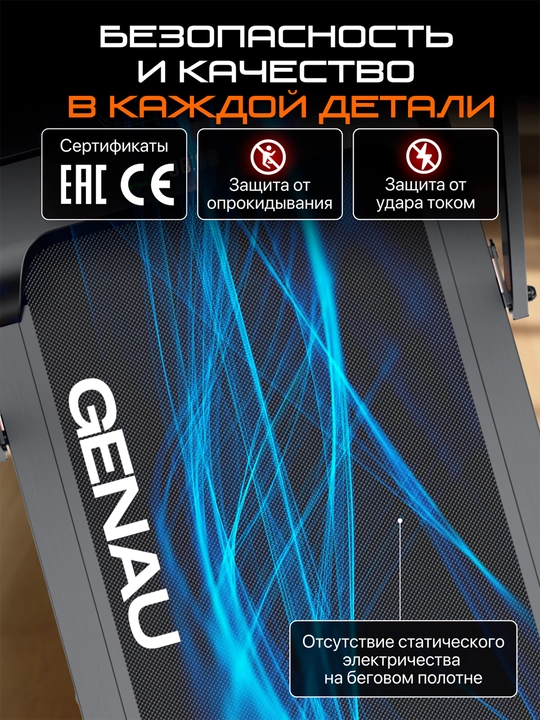 Беговая дорожка электрическая GENAU Wander X RT2-20B