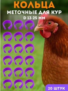 Ametist