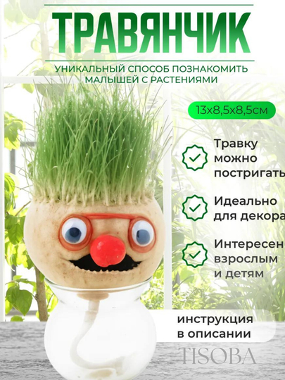 Травянчик кукла с растущей травой, для детей — TFGFBS-OCHKIMAYSA