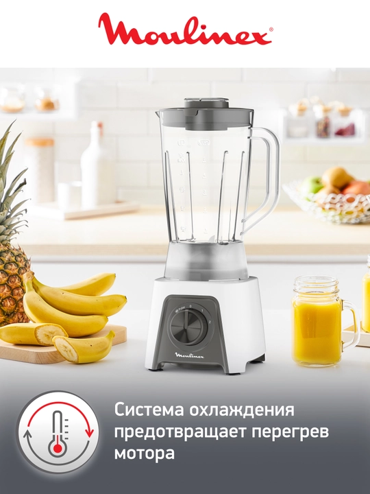 Блендер Moulinex Blendeo LM2C0110
