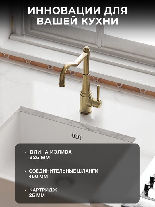 Смеситель Deante Tamizo для кухни, излив 225 мм, поворотный, 1 рычаг, латунь, BQT_M63M