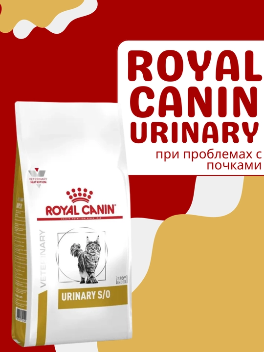 Royal Canin Urinary S/O buyrak muammolari uchun quruq mushuk ozuqasi - 