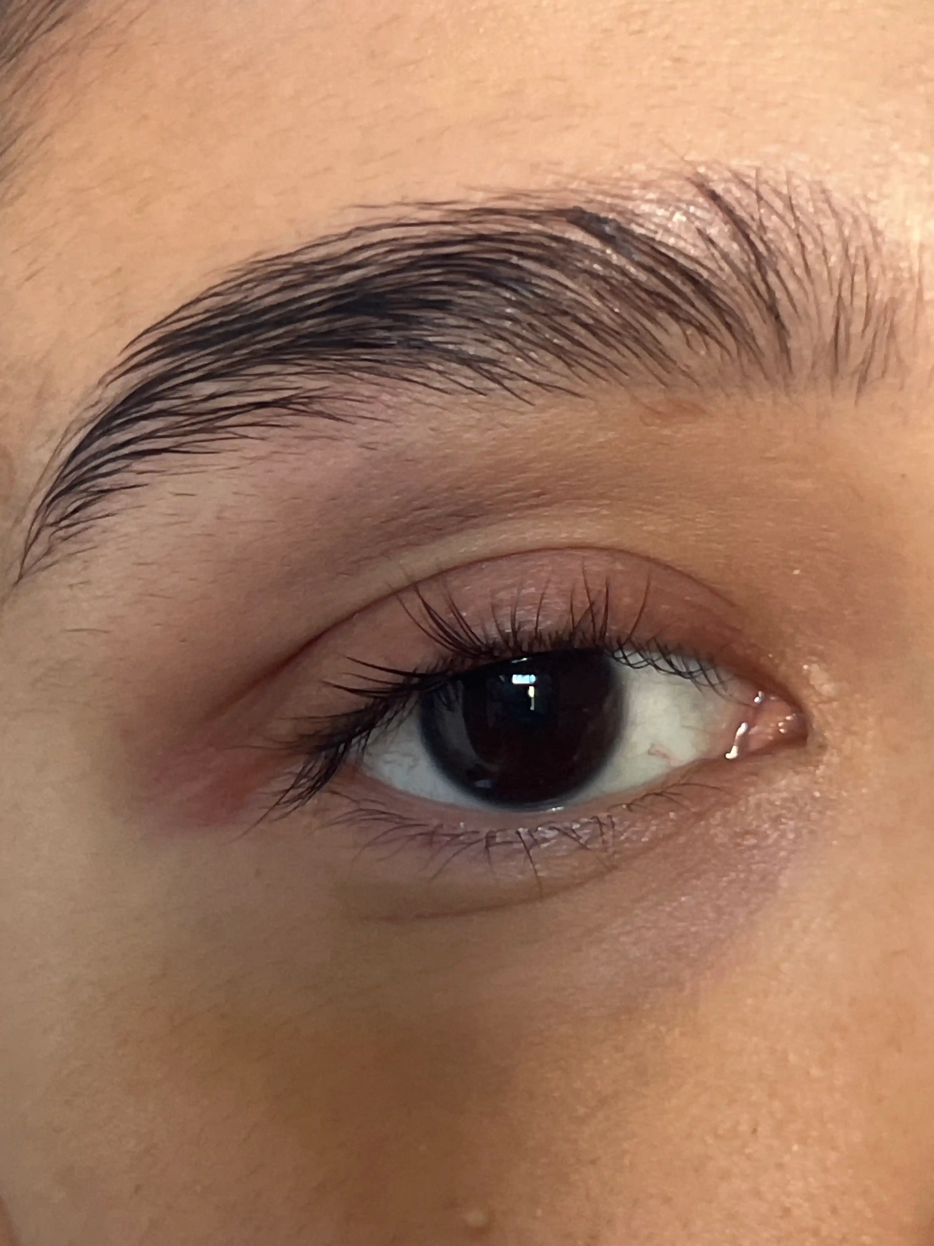 Набор для ламинирования ресниц и бровей, Esqido Lash Lift