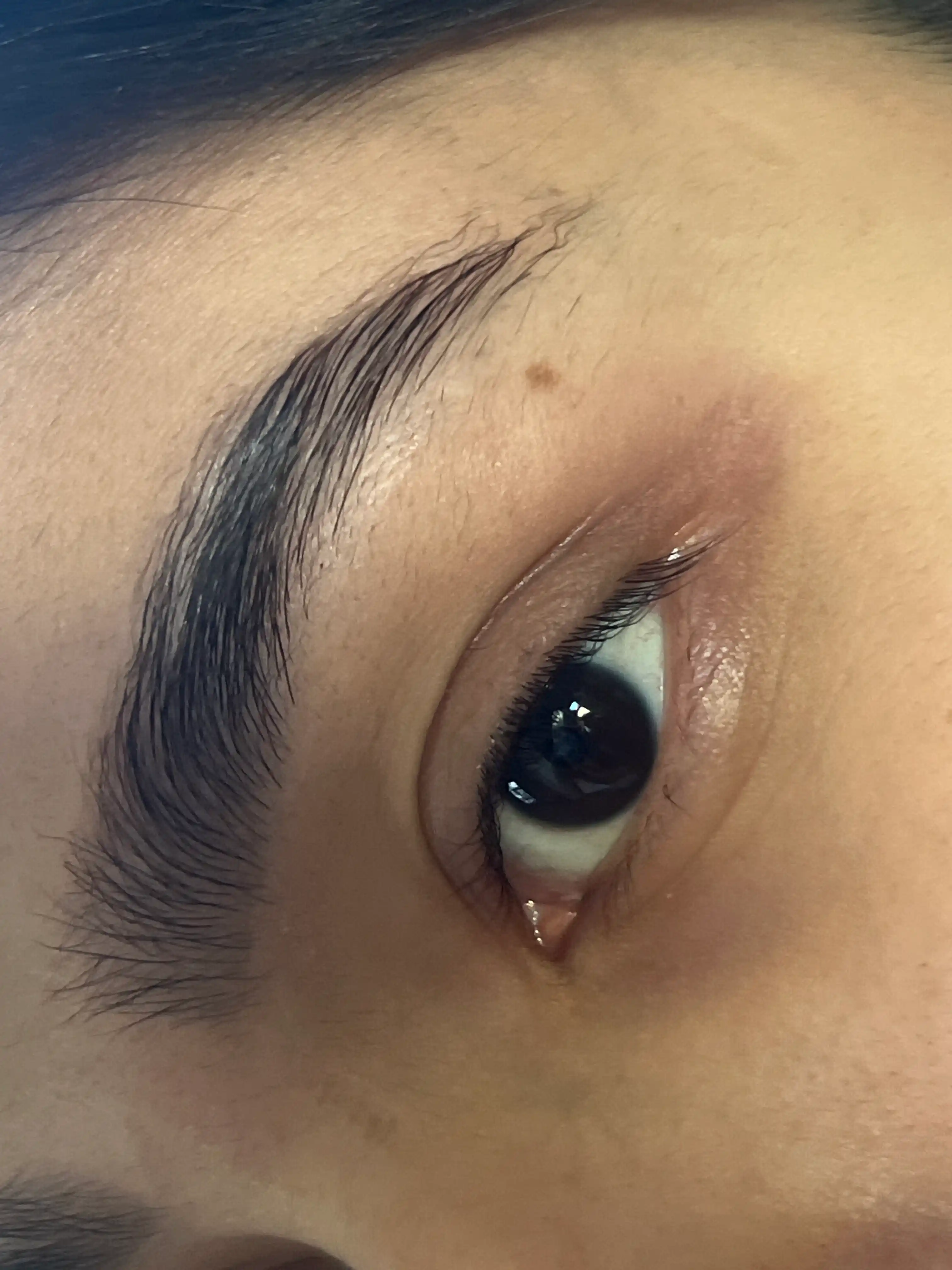 Набор для ламинирования ресниц и бровей, Esqido Lash Lift
