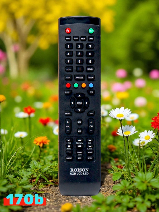 Roison TV uchun universal pult - 