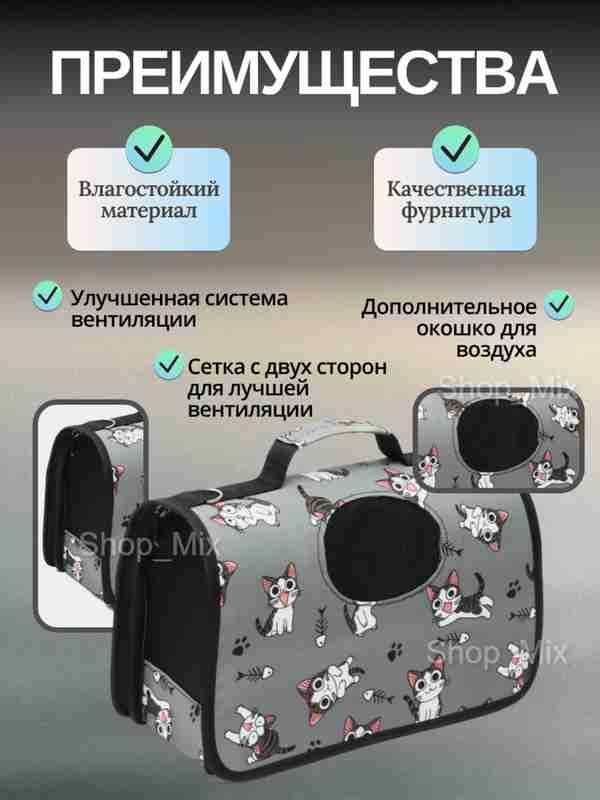 Mogilevda jinsiy aloqa izlayotgan qizlar