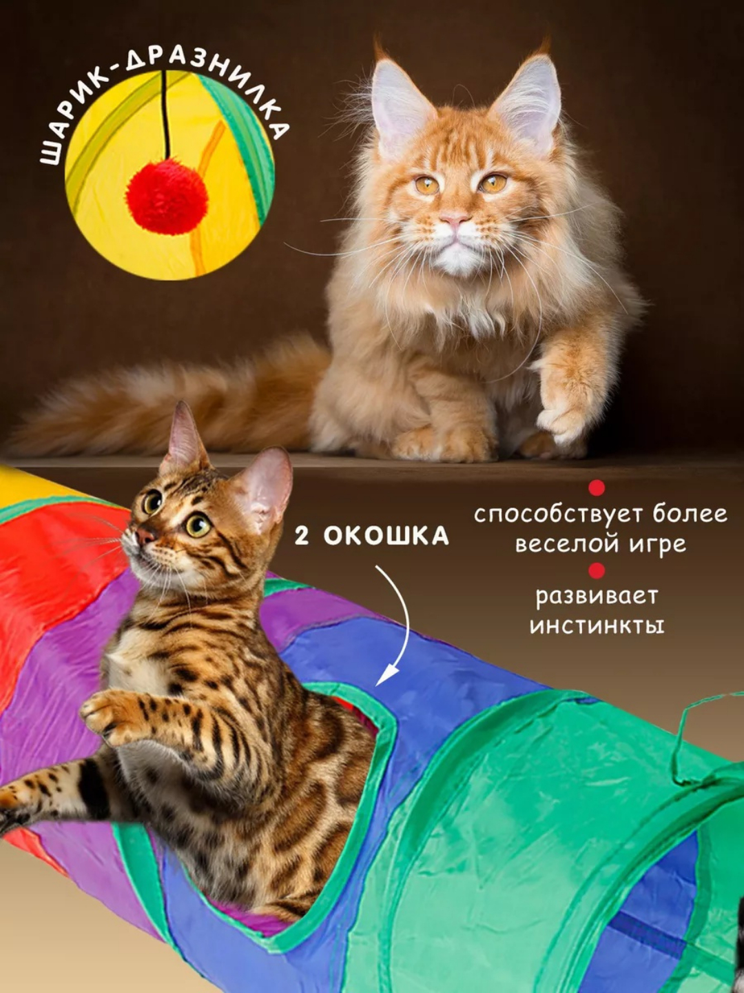 Kokrak va nipellarning fotosuratlari Christy Canyon pornosini onlayn tomosha qiling