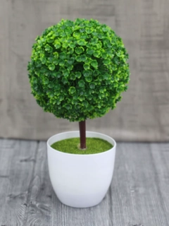 Feruza 