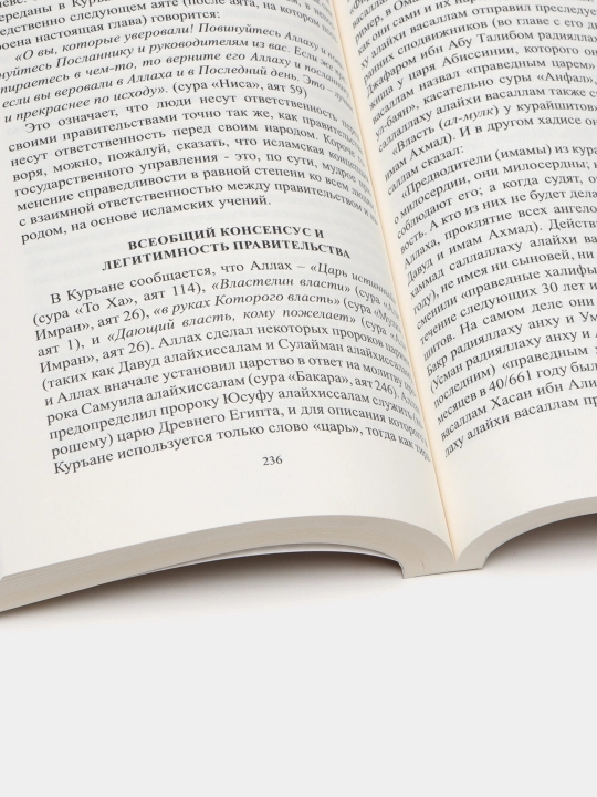 Mutafakkir insonning Islom bo‘yicha yo‘lboshchisi