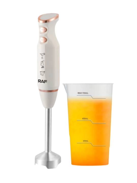 Professional pogrujnoy qo'l blender RAF 800W sho‘ng‘uvchi, 2 tasi 1 da
