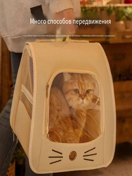 Кот выходит из дома с рюкзаком для питомца и двумя домашними сумочками