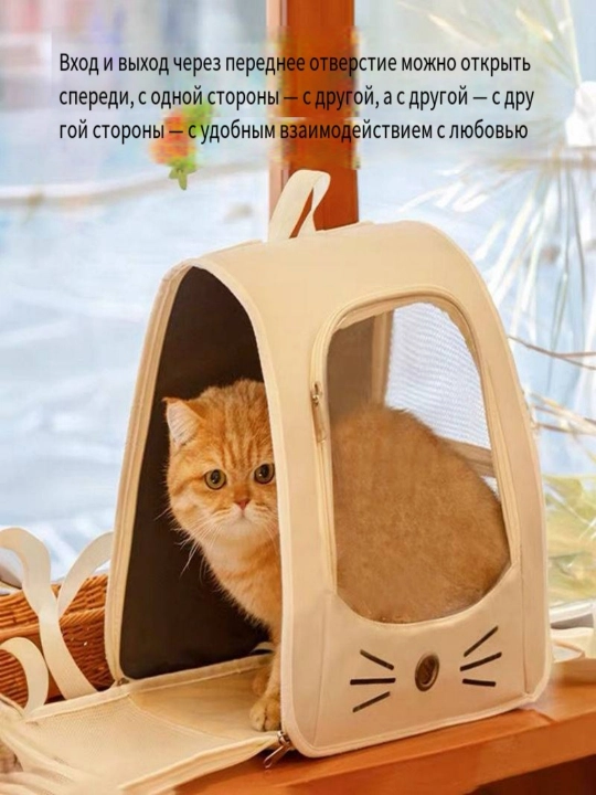 Кот выходит из дома с рюкзаком для питомца и двумя домашними сумочками
