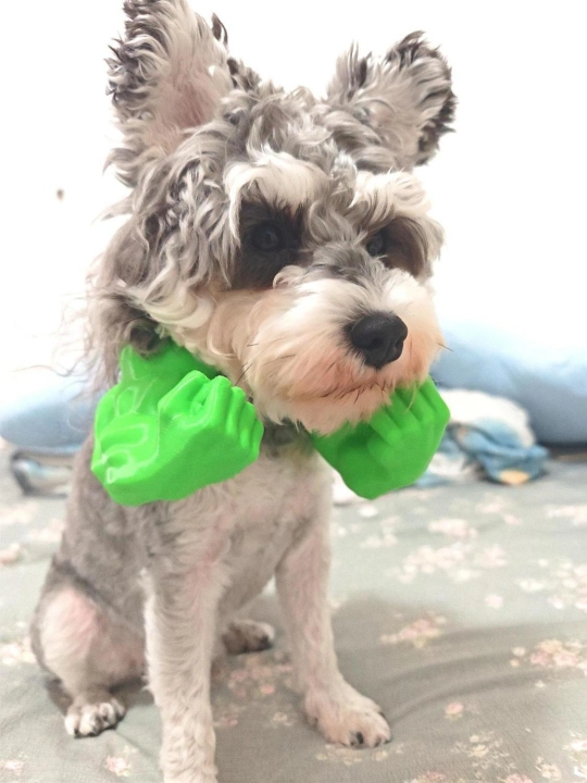 Mushuk Hulk kiyinish qo'li kulgili uy hayvonlari o'yinchoq