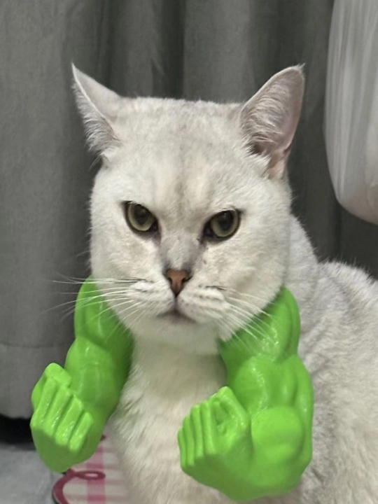 Mushuk Hulk kiyinish qo'li kulgili uy hayvonlari o'yinchoq