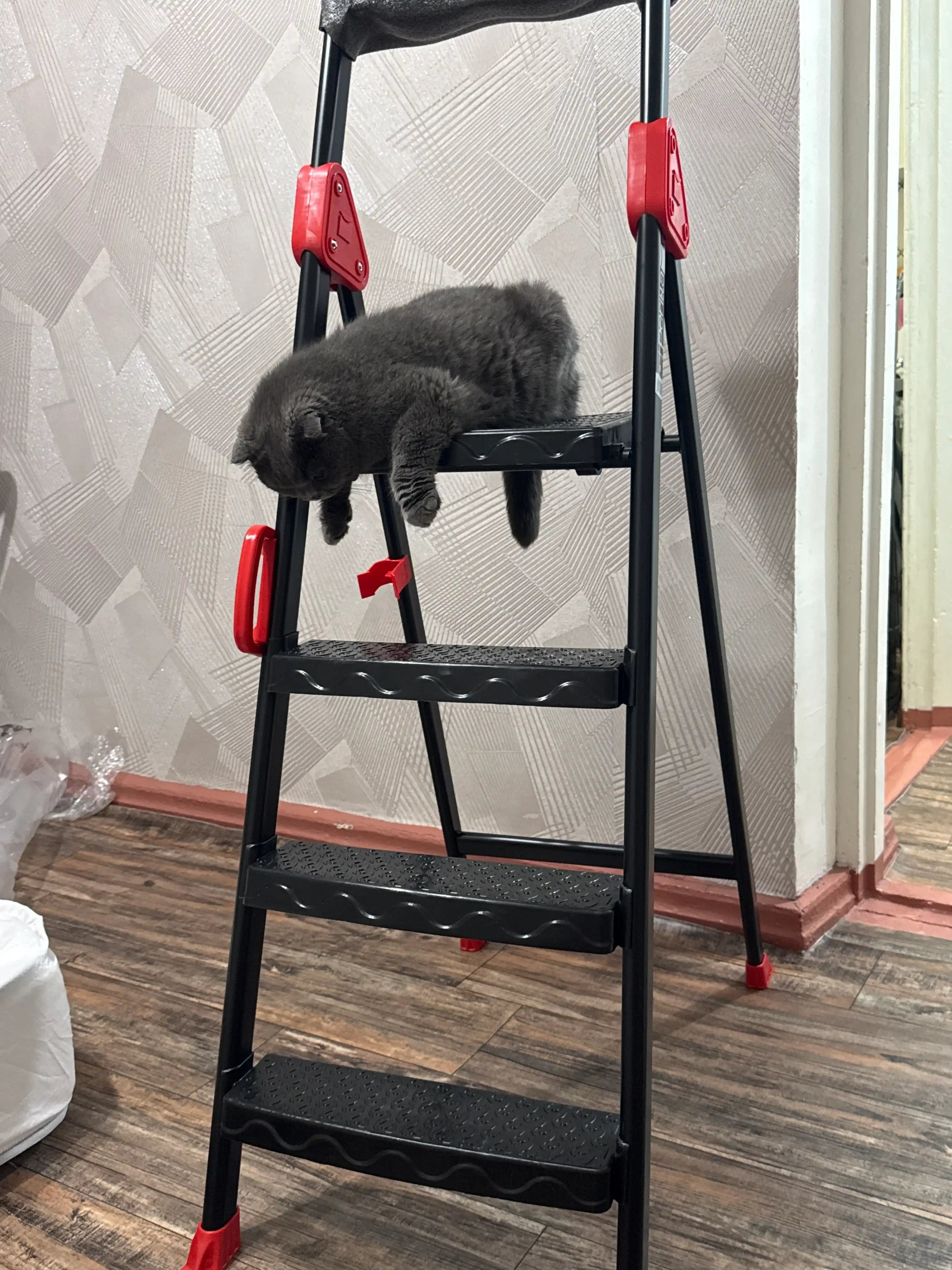 Perilla Comfort yigʻma narvon, qurilish narvoni, 250 kg gacha, lotok va tutqich bilan
