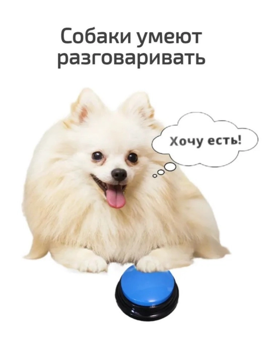 Itni o'rgatish uchun tugma, ovozni yozish, ovoz tugmasi, ko'k, qizil, yashil
