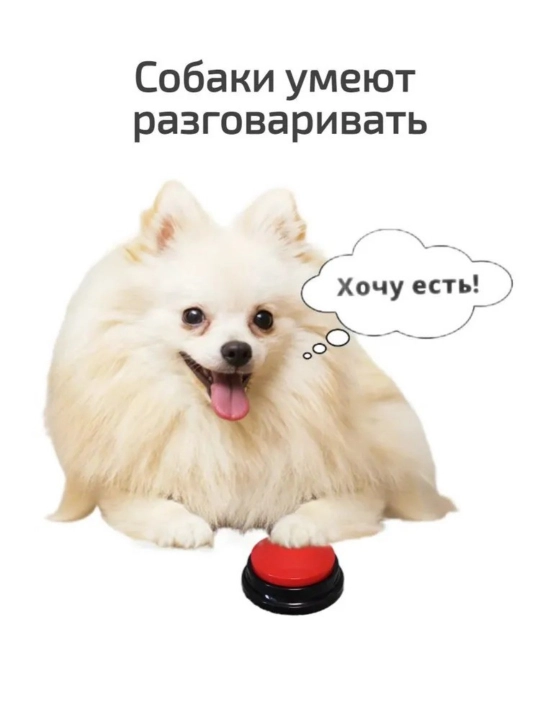 Itni o'rgatish uchun tugma, ovozni yozish, ovoz tugmasi, ko'k, qizil, yashil