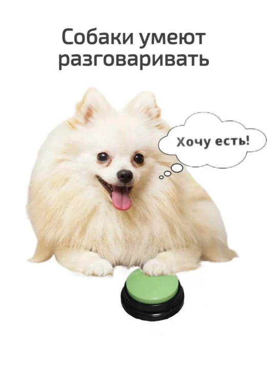Itni o'rgatish uchun tugma, ovozni yozish, ovoz tugmasi, ko'k, qizil, yashil