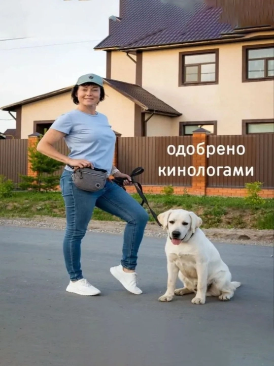 Кошечки на поясе и собачьи закуски носят сумки снаружи
