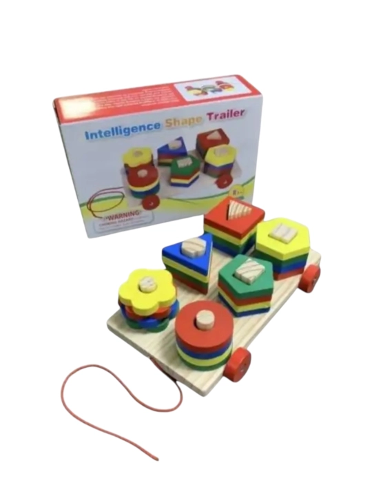 SORTER, Montessori, piramida, qo'shimcha, bolalar uchun yog'och o'quv o'yinchoq