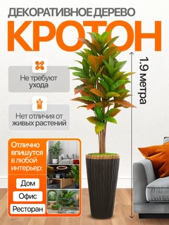 Korall