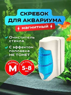 Белый