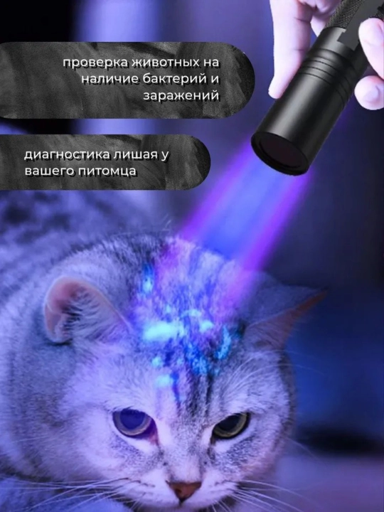 Ultrabinafsha fonar