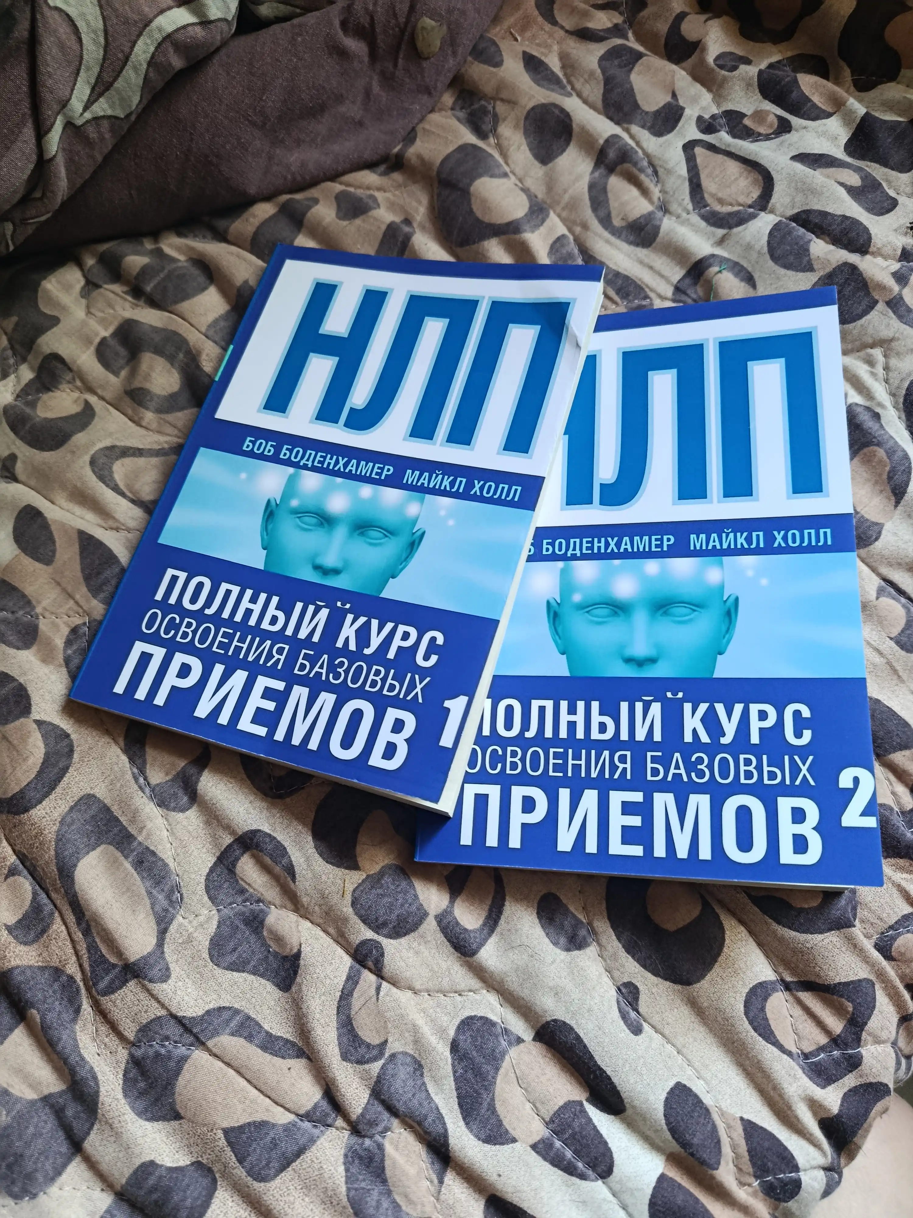 Боб Боденхамер: НЛП. Полный курс освоения базовых приемов