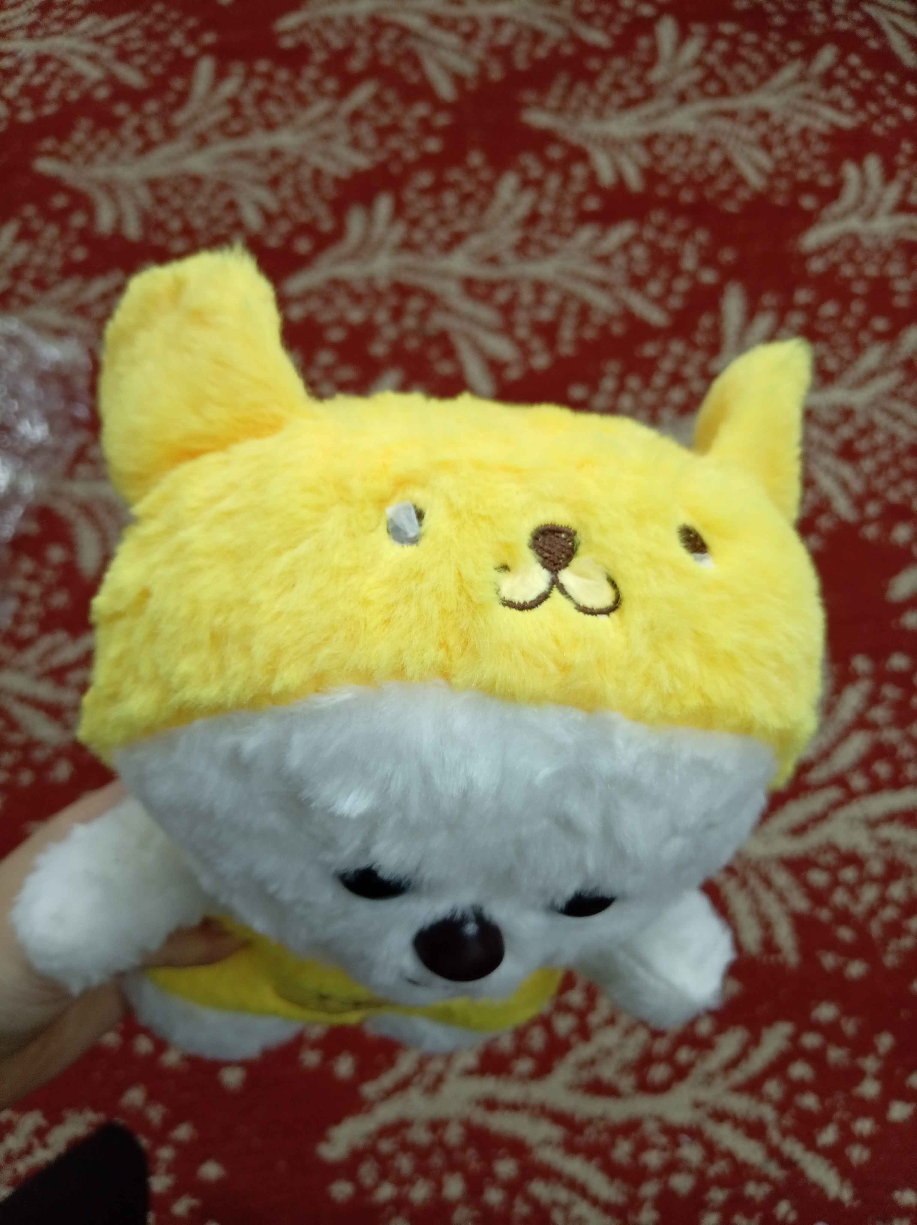 Sambuka ichida ulkan x Bob kesilgan sargish qizlarning fotosuratlari