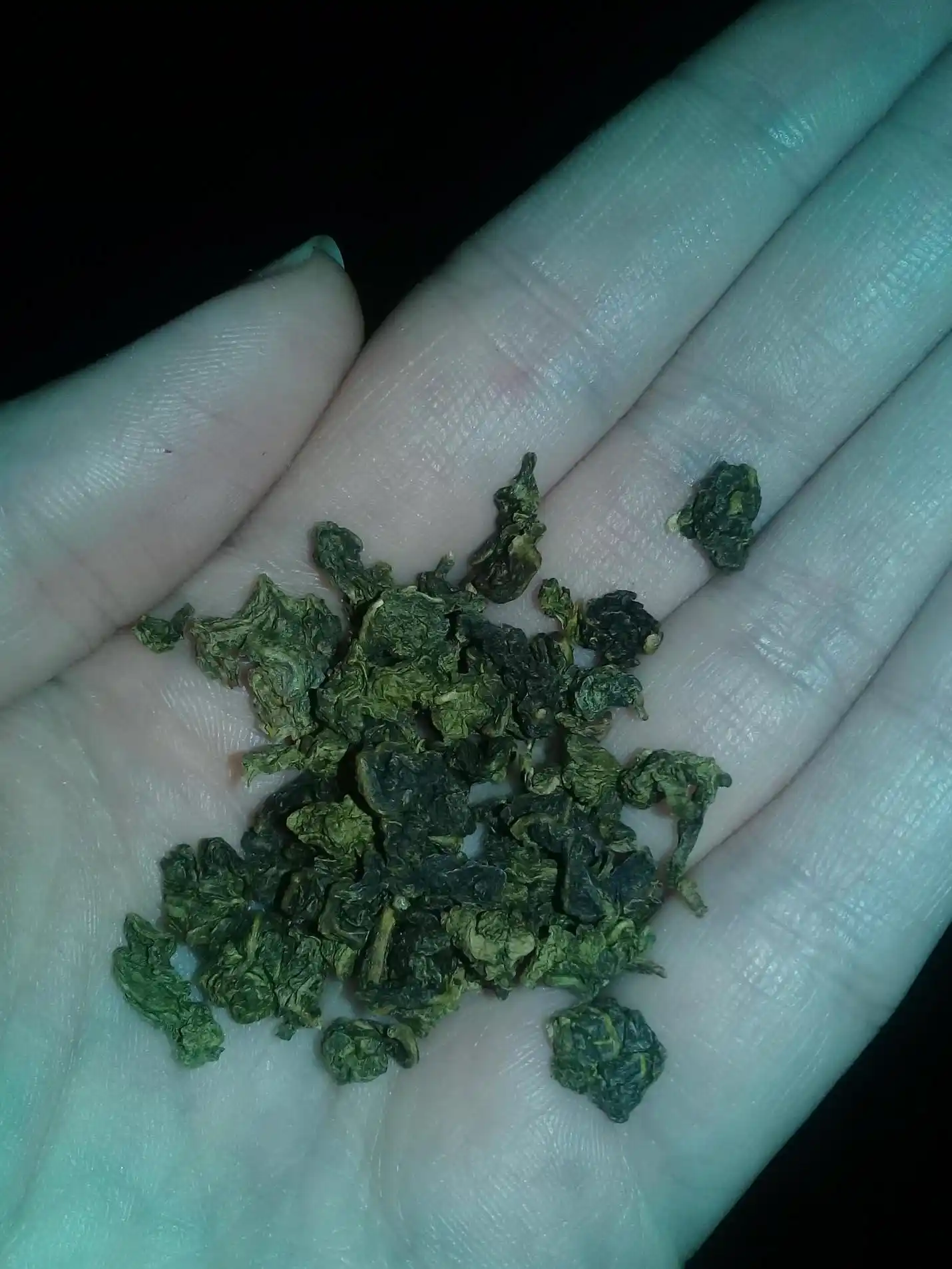 Milk Oolong sochiluvchan, yumshoq sariyog‘ hidiga ega