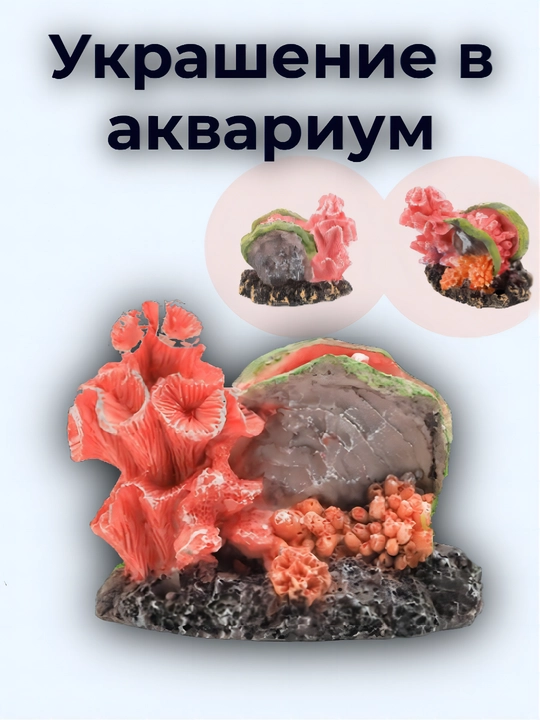 Baliqlar uchun uycha, akvarium uchun aksessuar, bezak buyumlari - 