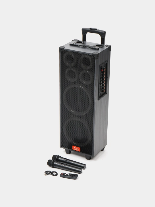 Portativ kalonkalar karaoke, Bluetooth kalonka mikrafon, masofadan boshqarish pulti