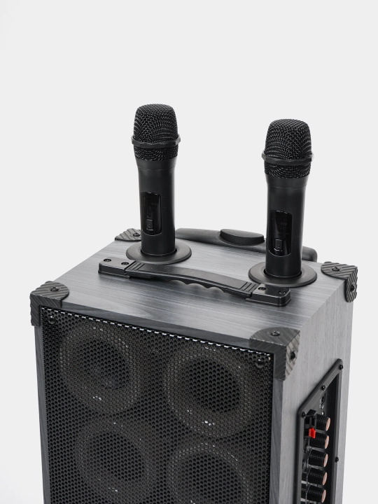 Portativ kalonkalar karaoke, Bluetooth kalonka mikrafon, masofadan boshqarish pulti