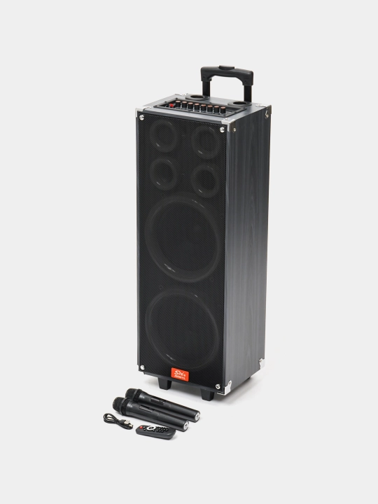 Portativ kalonkalar karaoke, Bluetooth kalonka mikrafon, masofadan boshqarish pulti