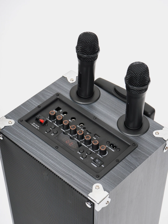 Portativ kalonkalar karaoke, Bluetooth kalonka mikrafon, masofadan boshqarish pulti