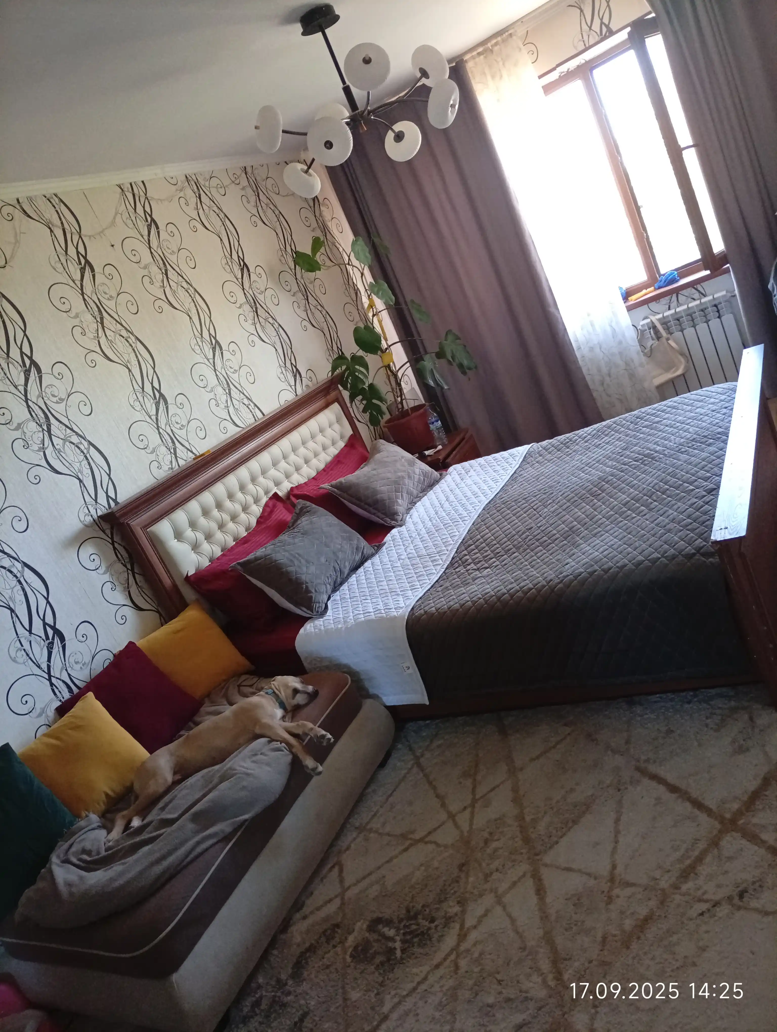 Choyshab rezina tasmali, yostiq jild bilan 50x70 sm