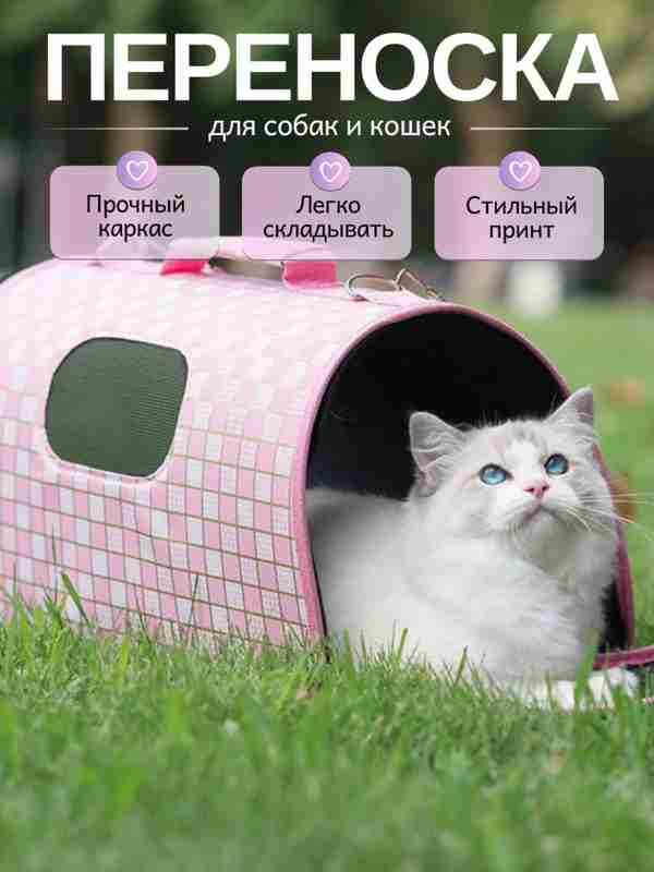 Tara Reed pornosini onlayn tomosha qiling