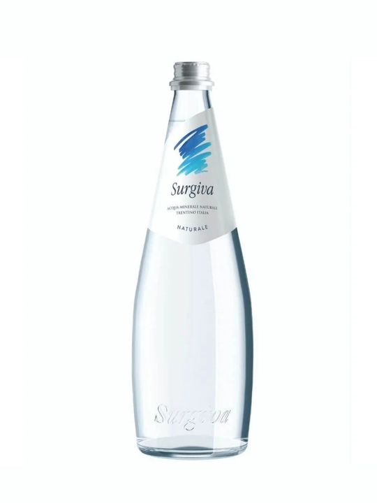 Минеральная вода Surgiva Naturale, негазированная, 0,5 л